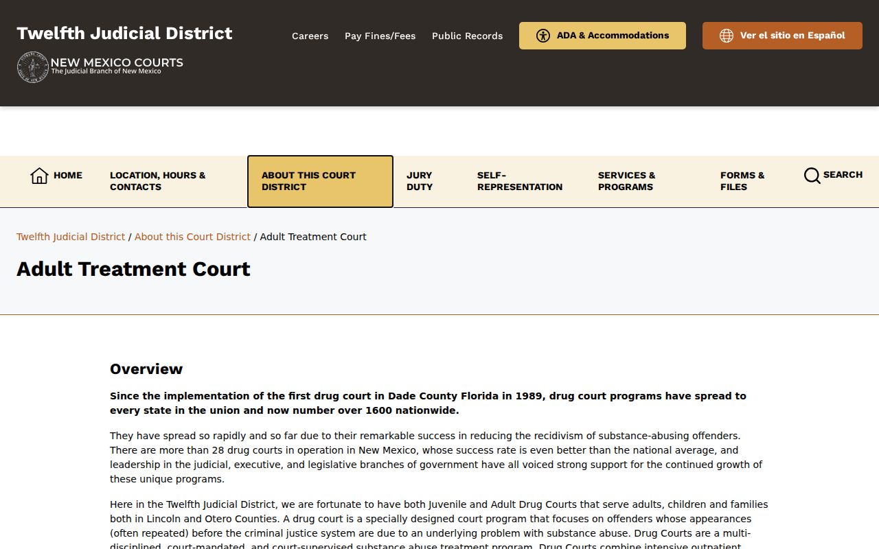 Lincoln County criminal docket reference image for Twelfth District Adult Treatment Court
